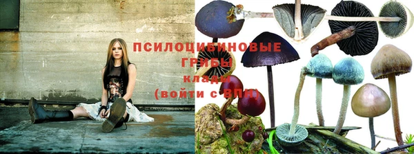винт Абдулино