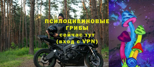 дмт Алзамай