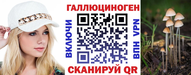 даркнет сайт Цоци-Юрт Псилоцибиновые грибы GOLDEN TEACHER