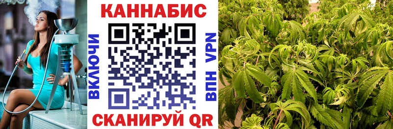 Конопля план omg зеркало Цоци-Юрт
